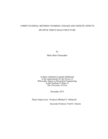 Computational methods to model disease and genetic effects on optic nerve head structure