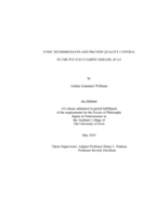 Toxic intermediates and protein quality control in the polyglutamine disease, SCA3