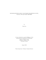Renormalization group and phase transitions in spin, gauge, and QCD like theories