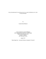 Hyaluronidase in Staphylococcus aureus physiology and pathogenesis