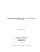The activation and response of Bacillus subtilis ECF σ factor σV to lysozyme