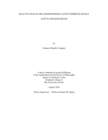 Reactivation of Organophosphorus agent inhibited-human acetylcholinesterase