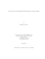 Applications of the holographic principle in string theory