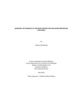 Modeling the dynamics of teen risky driving for evaluating prevention strategies