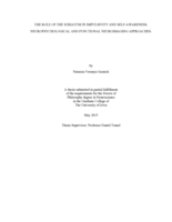 The role of the striatum in impulsivity and self-awareness: neuropsychological and functional neuroimaging approaches