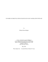 Dynamics of skeletal muscle blood flow and vasodilation with age