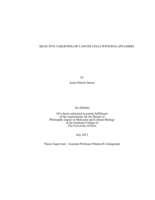 Selective targeting of cancer cells with RNA aptamers