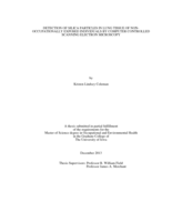 Detection of silica particles in lung tissue of non-occupationally exposed individuals by computer controlled scanning electron microscopy