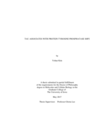 Tau associates with protein tyrosine phosphatase SHP2