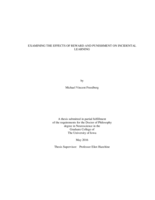 Examining the effects of reward and punishment on incidental learning