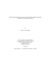 Pre-mating reproductive isolation between three sympatric varieties of a specialist insect