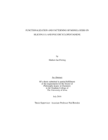 Functionalization and patterning of monolayers on silicon(111) and polydicyclopentadiene