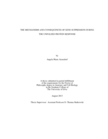 The Mechanisms and Consequences of Gene Suppression During the Unfolded Protein Response