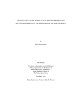 The influence of the adsorption of metoclopramide and related benzamides on the ionization of the silica surface