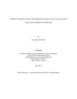 Career counseling with undocumented Latino youth: a qualitative analysis of school counselors