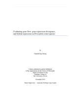 Evaluating gene flow, gene expression divergence, and hybrid expression in Drosophila sister species