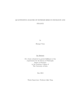 Quantitative analysis of extreme risks in insurance and finance