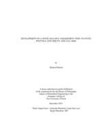Development of a novel balance assessment tool to study postural instability and fall risk