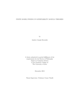 Finite model finding in satisfiability modulo theories