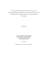 Tentative Identification of Hydroxylated 2,2',3,5',6-pentachlorobiphenyl Metabolites in Whole Poplar Plants by a Combination of Chromatographic and Spectrometry Techniques