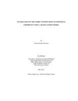 Examination of the limbic system's role in emotional experience using a human lesion model