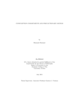 Consumption commitments and precautionary savings