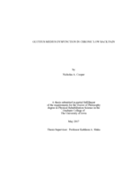Gluteus medius dysfunction in chronic low back pain