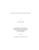Regulation of Pol II transcription and mRNA capping