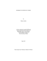 Summary statistics in vision