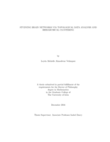 Studying brain networks via topological data analysis and hierarchical clustering