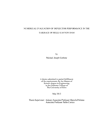 Numerical evaluation of deflector performance in the tailrace of Hells Canyon Dam