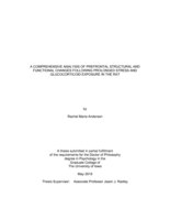 A comprehensive analysis of prefrontal structural and functional changes following prolonged stress and glucocorticoid exposure in the rat