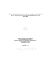 Copper-zinc superoxide dismutase and glucose metabolism as redox targets for bortezomib resistance in multiple myeloma