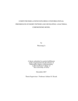 Computer simulations exploring conformational preferences of short peptides and developing a bacterial chromosome model