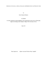 The role of social capital in racial differences in lawyer success