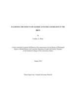 Examining the effects of gender attitudes and beliefs in the BBFM