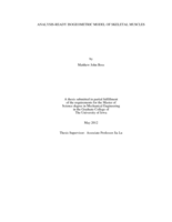Analysis-ready isogeometric model of skeletal muscles