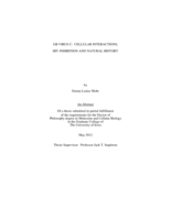 GB virus C: cellular interactions, HIV inhibition and natural history
