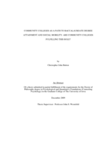 Community colleges as a path to baccalaureate degree attainment and social mobility: are community colleges fulfilling this role?