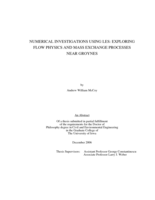 Numerical investigations using LES: exploring flow physics and mass exchange processes near groynes