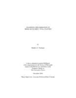 Examining the formation of Medicaid elderly 1915(c) waivers