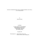 The Relationship between visual working memory and visual long-term memory