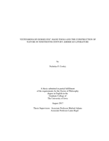“Extensions of ourselves”: hand tools and the construction of nature in nineteenth-century American literature