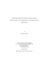 Neutrophil responses to infection with leishmania parasites: MHC class II-expression and parasite life-stage interactions