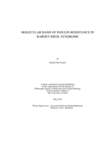 Molecular basis of insulin resistance in Bardet Biedl syndrome