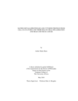 Matrix metalloproteinase and cytokine profiles from cell co-cultures and their role in oral inflammation and head and neck cancer