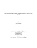 What kind of gallery is a book?: Representation in U.S. print culture, 1880-1940