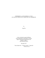 Experimental and numerical study on failure strength of aspirated cell membrane