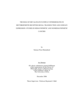 The role of mevalonate pathway intermediates in erythropoietin receptor signal transduction and surface expression: studies in hematopoietic and nonhematopoietic cancers