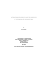 Antibacterial strategies for improved eradication of Pseudomonas aeruginosa infections
